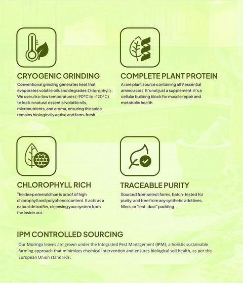 Moringa Powder | Premium Quality  | Cryogenically Ground