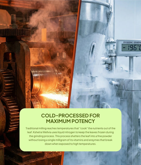 Moringa Powder | Premium Quality  | Cryogenically Ground